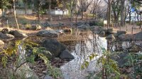 DSC00321.JPG